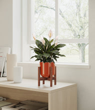 Load image into Gallery viewer, Glossy Red stand:walnut
