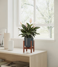 Load image into Gallery viewer, Iron Gray stand:walnut
