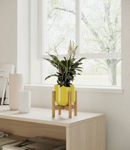 Lade das Bild in den Galerie-Viewer, Key Lime Yellow stand:all
