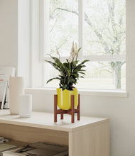 Lade das Bild in den Galerie-Viewer, Key Lime Yellow stand:walnut

