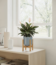 Load image into Gallery viewer, Misty Blue stand:all

