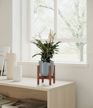Lade das Bild in den Galerie-Viewer, Misty Blue stand:walnut
