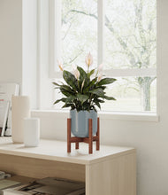Load image into Gallery viewer, Misty Blue stand:walnut
