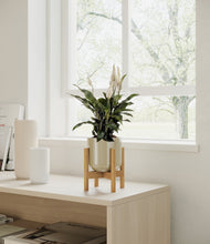 Lade das Bild in den Galerie-Viewer, Sage Green stand:all
