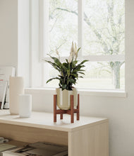 Lade das Bild in den Galerie-Viewer, Sage Green stand:walnut
