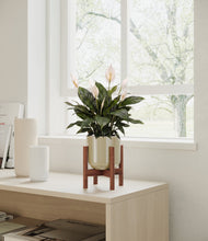Load image into Gallery viewer, Sage Green stand:walnut
