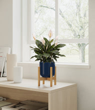 Load image into Gallery viewer, Twilight Blue stand:all
