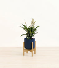 Lade das Bild in den Galerie-Viewer, Twilight Blue stand:bamboo
