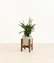 Lade das Bild in den Galerie-Viewer, Sage Green stand:walnut
