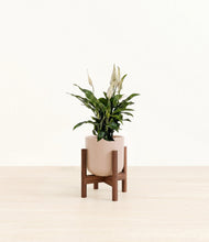 Lade das Bild in den Galerie-Viewer, Sandy Pink stand:walnut
