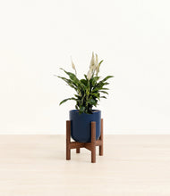 Lade das Bild in den Galerie-Viewer, Twilight Blue stand:walnut

