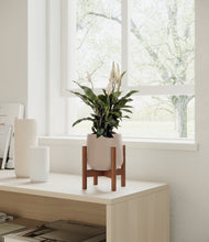 Lade das Bild in den Galerie-Viewer, Eternal Gray stand:walnut
