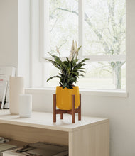 Lade das Bild in den Galerie-Viewer, Mustard stand:walnut
