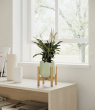 Lade das Bild in den Galerie-Viewer, Turquoise stand:bamboo
