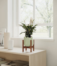 Lade das Bild in den Galerie-Viewer, Turquoise stand:walnut
