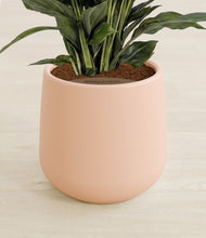 Lade das Bild in den Galerie-Viewer, Gentle Pink stand:all
