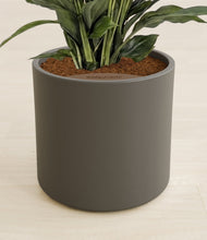 Load image into Gallery viewer, Dark Olive stand:all
