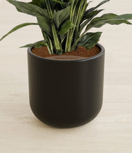 Lade das Bild in den Galerie-Viewer, Stone Black stand:all
