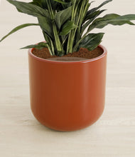 Lade das Bild in den Galerie-Viewer, Glossy Red stand:all
