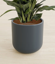Lade das Bild in den Galerie-Viewer, Iron Gray stand:all
