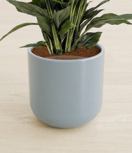 Lade das Bild in den Galerie-Viewer, Misty Blue stand:all
