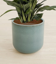 Lade das Bild in den Galerie-Viewer, Reactive Aqua stand:all
