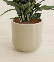 Lade das Bild in den Galerie-Viewer, Sage Green stand:all
