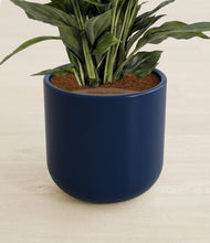 Lade das Bild in den Galerie-Viewer, Twilight Blue stand:all

