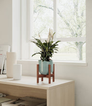 Lade das Bild in den Galerie-Viewer, Reactive Aqua stand:walnut
