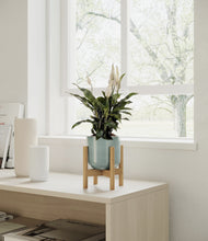 Lade das Bild in den Galerie-Viewer, Reactive Aqua stand:bamboo
