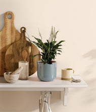 Lade das Bild in den Galerie-Viewer, Misty Blue
