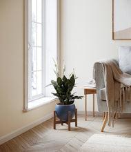 Load image into Gallery viewer, Deep Navy stand:walnut
