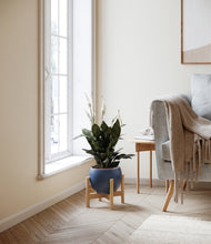 Load image into Gallery viewer, Deep Navy stand:bamboo
