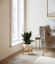 Load image into Gallery viewer, Shiny EggWhite stand:bamboo
