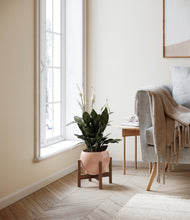 Load image into Gallery viewer, Calm Rose stand:walnut
