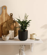 Lade das Bild in den Galerie-Viewer, Stone Black
