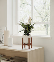 Lade das Bild in den Galerie-Viewer, Natural Bamboo stand:walnut
