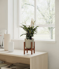 Lade das Bild in den Galerie-Viewer, Sage Green stand:walnut
