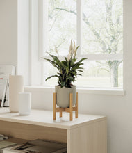 Lade das Bild in den Galerie-Viewer, Sage Green stand:bamboo
