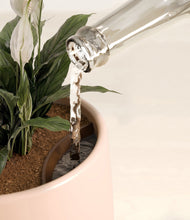Lade das Bild in den Galerie-Viewer, Gentle Pink stand:all
