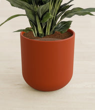 Lade das Bild in den Galerie-Viewer, Earth Red stand:all
