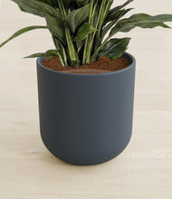 Lade das Bild in den Galerie-Viewer, Iron Gray stand:all
