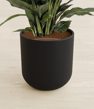 Lade das Bild in den Galerie-Viewer, Stone Black stand:all
