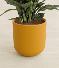Lade das Bild in den Galerie-Viewer, Sunset Orange stand:all
