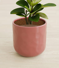 Load image into Gallery viewer, Hammered Rose Pink stand:all

