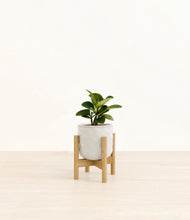 Load image into Gallery viewer, Hammered Ivory stand:bamboo
