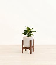 Load image into Gallery viewer, Snowdrift White stand:walnut
