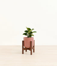 Load image into Gallery viewer, Hammered Rose Pink stand:walnut
