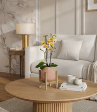 Load image into Gallery viewer, Calm Rose stand:bamboo

