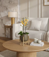 Load image into Gallery viewer, Olive stand:bamboo
